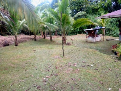 /international/cr/penas-blancas-alajuela-san-carlos-alajuela-san-carlos-alajuela-province-310107429407/