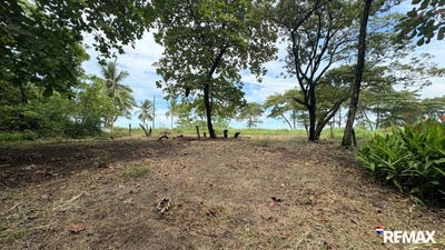 /international/cr/playa-palo-seco-parrita-parrita-puntarenas-parrita-puntarenas-310101036353/?lang=zh-cn