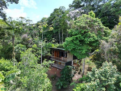 /international/cr/tinamastes-puntarenas-puntarenas-310108841352/