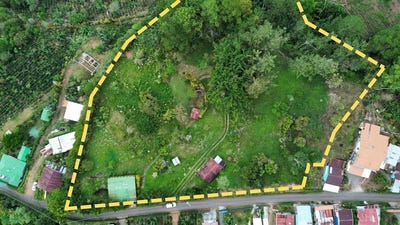 /international/cr/palomo-orosi-cartago-province-310106829186/