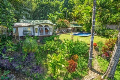 /international/cr/bahia-ballena-osa-puntarenas-osa-puntarenas-310101440328/?lang=fr