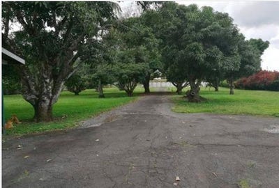 /international/cr/home-construction-site-for-sale-in-el-coyol-el-coyol-alajuela-province-120076459984/