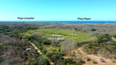 /international/cr/playa-negra-paraiso-teak-creek-farm-an-exceptional-opportunity-with-13-hectares-32-acres-veintisiete-de-abril-santa-cruz-guanacaste-santa-cruz-guanacaste-province-310095735156/