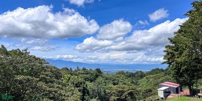 /international/cr/san-juan-poas-alajuela-alajuela-province-310100111790/