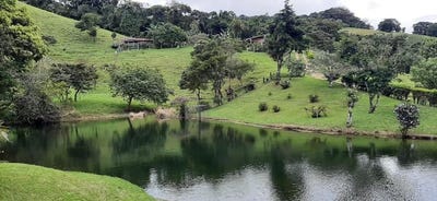 /international/cr/1-cabeceras-tilaran-guanacaste-province-310107045064/