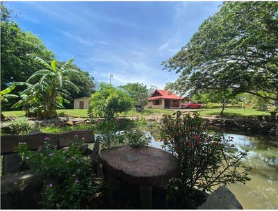 /international/cr/guanacaste-bagaces-fortuna-cuipilapa-una-hora-de-liberia-bagaces-guanacaste-bagaces-guanacaste-province-310105807332/