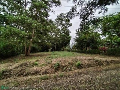 /international/cr/san-isidro-penas-blancas-san-ramon-alajuela-san-ramon-alajuela-province-310103390709/