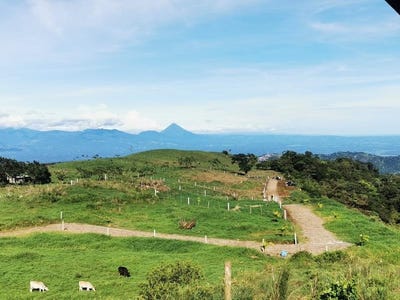 /international/cr/san-juan-ciudad-quesada-san-carlos-alajuela-san-carlos-alajuela-province-120088159235/