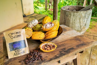 /international/cr/exclusive-cacao-farm-luxury-retreat-parrita-puntarenas-310105772631/