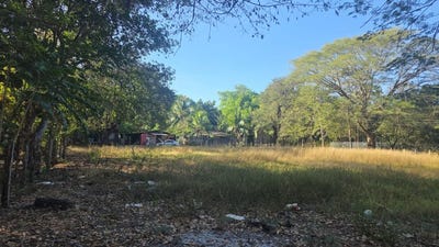 /international/cr/3-commercial-lots-for-sale-in-artola-with-70-m-of-public-road-frontage-sardinal-guanacaste-province-310106284021/