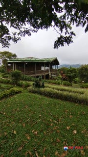 /international/cr/verbena-norte-turrialba-cartago-turrialba-cartago-province-310101497433/?lang=de