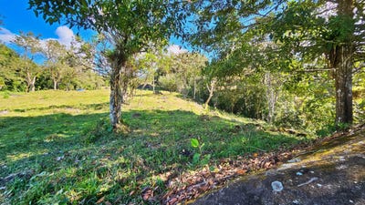 /international/cr/playa-verde-permaculture-corner-lot-santa-elena-alajuela-province-310105742799/