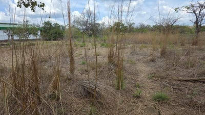 /international/cr/property-for-sale-near-liberia-airport-with-high-exposure-and-60-meters-frontage-on-route-21-with-public-utilities-liberia-guanacaste-province-310108325677/