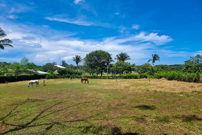 /international/cr/x8wg-r7-provincia-de-guanacaste-santa-cruz-costa-rica-santa-cruz-guanacaste-province-310100906641/