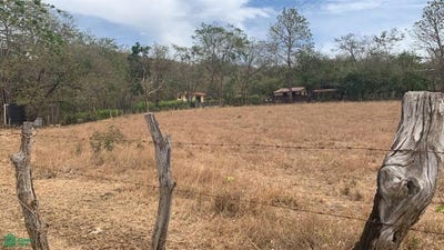 /international/cr/matapalo-cabo-velas-santa-cruz-guanacaste-santa-cruz-guanacaste-province-310101374001/