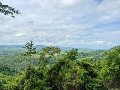 /international/cr/ocean-view-farm-for-sale-guanacaste-costa-rica-playa-coyote-bejuco-guanacaste-province-310099738948/