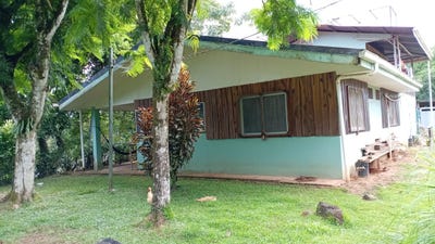 /international/cr/mogos-carretera-a-puerto-jimenez-sierpe-puntarenas-sierpe-puntarenas-310102347855/