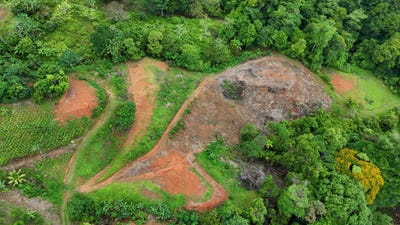 /international/cr/500-mettos-despues-del-retaurante-tilapias-el-pavon-osa-puntarenas-osa-puntarenas-310108163915/