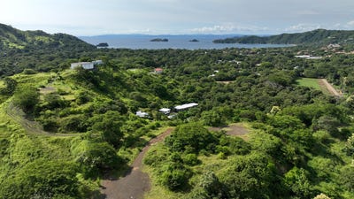 /international/cr/g8m3-gg7-guanacaste-province-coco-costa-rica-coco-guanacaste-province-310101282978/