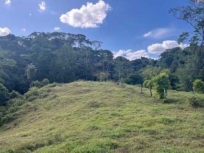 /international/cr/id-4161-expansive-farm-for-sale-in-sarapiqui-heredia-pastureland-rivers-private-fores-horquetas-heredia-province-310109042808/