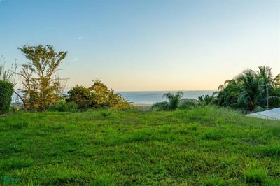 /international/cr/lot-8-phase-5-puerto-cortes-osa-puntarenas-osa-puntarenas-310106461475/