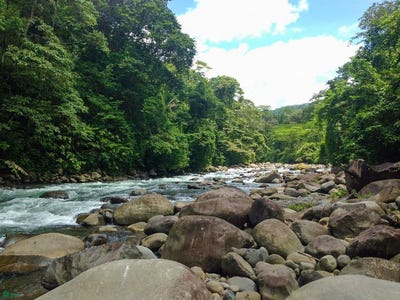 /international/cr/guatuso-katira-alajuela-province-310107791815/