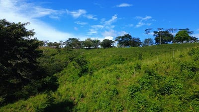 /international/cr/8ha-en-venta-ubicada-en-buenos-aires-puntarenas-countryside-home-construction-site-for-sale-in-buenos-aires-buenos-aires-puntarenas-310104128880/