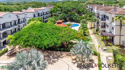 /international/cr/palmas-de-tamarindo-204d-tamarindo-santa-cruz-guanacaste-santa-cruz-guanacaste-province-310101181688/