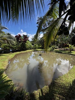 /international/cr/valle-azul-san-ramon-camino-a-la-fortuna-san-carlos-la-tigra-alajuela-san-carlos-la-tigra-alajuela-province-310102850489/