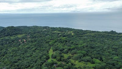 /international/cr/beach-lot-2-2-263-m2-nicoya-blue-zone-lot-cobano-puntarenas-310108895741/