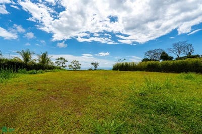 /international/cr/lot-5-phase-5-puerto-cortes-osa-puntarenas-osa-puntarenas-310106462033/