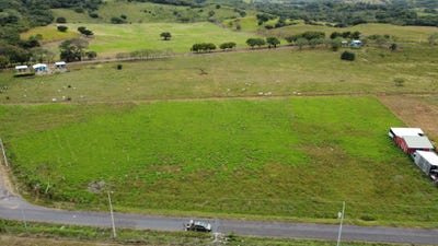 /international/cr/guanacaste-canas-sandillal-3-km-sobre-la-calle-asfalta-hacia-la-comunidad-de-sandillal-canas-guanacaste-canas-guanacaste-province-310104492643/