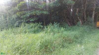 /international/cr/san-rafael-heredia-san-rafael-heredia-province-310107813310/