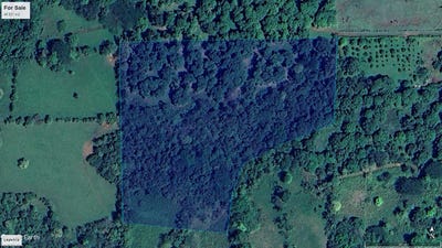 /international/cr/san-mateo-san-mateo-alajuela-san-mateo-alajuela-province-120092655525/