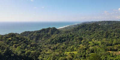 /international/cr/ocean-view-lot-in-malpais-mal-pais-puntarenas-puntarenas-310103465310/