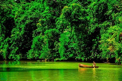 /international/cr/osa-waterfront-lodge-puerto-jimenez-puntarenas-310107298501/