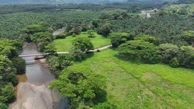 /international/cr/riverside-mountain-view-10-hectares-finca-anita-quepos-puntarenas-310107580127/