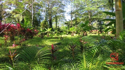 /international/cr/entrada-playa-negra-cahuita-limon-310105374677/