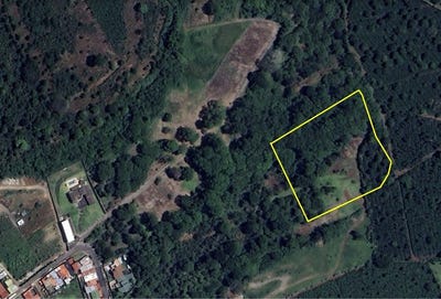 /international/cr/san-rafael-de-heredia-san-rafael-heredia-san-rafael-heredia-province-310105807292/