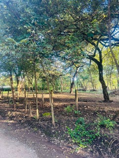 /international/cr/finca-panama-guanacaste-province-guanacaste-province-310108776440/