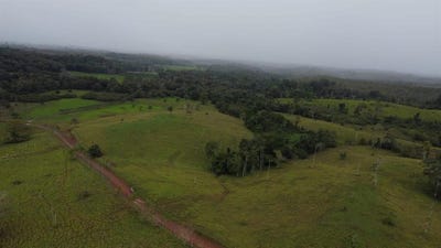 /international/cr/pocosol-san-carlos-alajuelas-alajuela-province-310105811340/