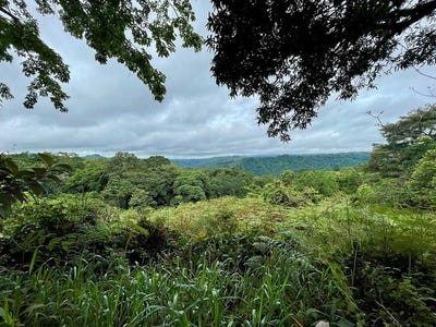 /international/cr/id-4167-investment-opportunity-8-acre-reforested-mountain-finca-in-puriscal-mercedes-sur-san-jose-310108553944/
