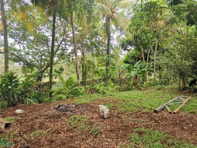 /international/cr/florencia-san-carlos-alajuela-san-carlos-alajuela-province-310100107551/