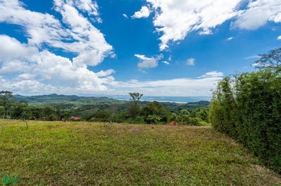/international/cr/fase-5-puerto-cortes-osa-puntarenas-osa-puntarenas-310106357909/