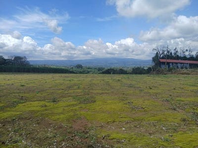 /international/cr/panoramic-peaceful-escape-6-110-m2-with-unobstructed-city-views-san-pedro-alajuela-province-310107019087/