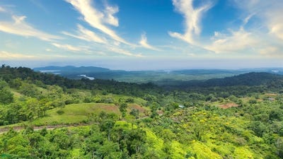 /international/cr/calle-sierpe-sierpe-puntarenas-310106137592/