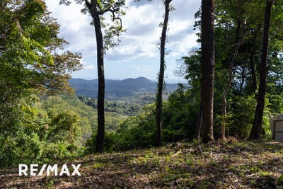 /international/cr/montana-de-samara-samara-guanacaste-samara-guanacaste-province-310096495929/