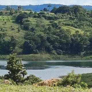 /international/cr/bay-view-paradise-large-building-lot-lake-arenal-view-san-luis-guanacaste-province-310096372208/