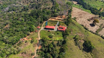 /international/cr/agricultural-land-for-sale-in-daniel-flores-daniel-flores-san-jose-310106263650/