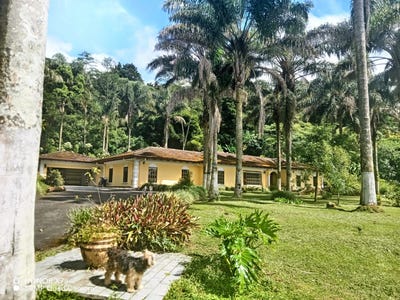 /international/cr/alajuela-grecia-grecia-alajuela-grecia-alajuela-province-310105775597/